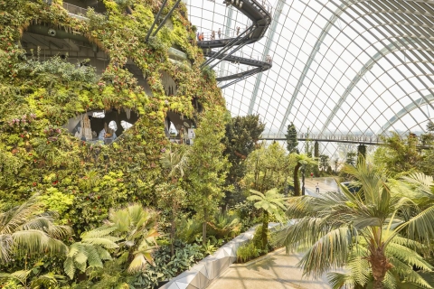 Singapour : Billet électronique pour les Jardins de la BaieBillet d'entrée à la Fantaisie florale