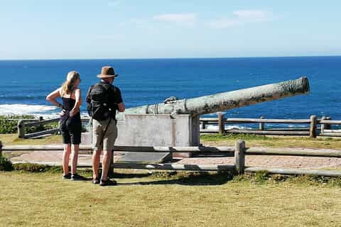 Port Elizabeth: 5-Hour City, Hiking, and Wildlife Experience