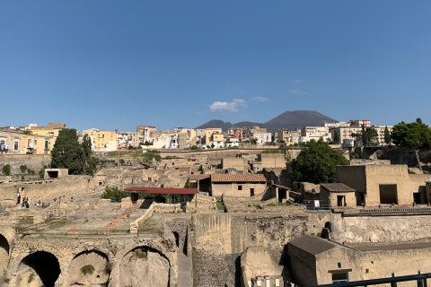 Herculaneum: Tickets & Tour with a Local Archaeologist
