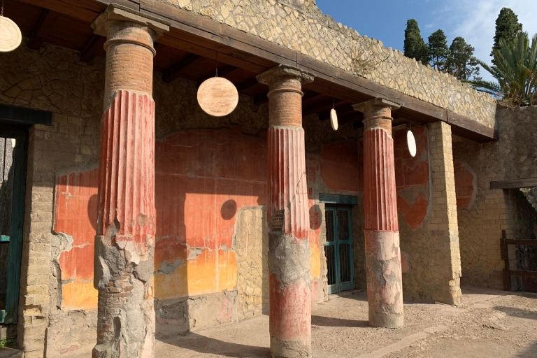 Herculano: entradas y recorrido con un arqueólogo localHerculano: entradas y tour privado con arqueólogo