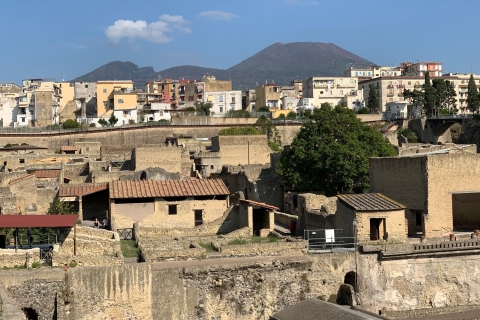 Herculaneum: Tickets & Tour with a Local Archaeologist Herculaneum: Tickets & Private Tour with Archaeologist