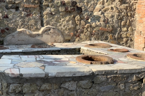 Herculaneum: Tickets & Tour with a Local Archaeologist Herculaneum: Tickets & Private Tour with Archaeologist