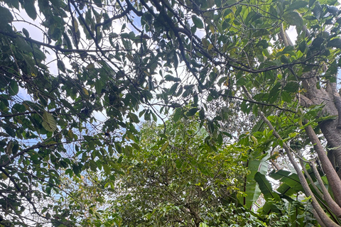 Addis Ababa: 9-Day Coffee Plantation Tour with Lodging