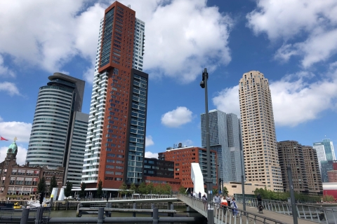 Architektura Rotterdamu: centrum i południowy brzeg z taksówką wodnąRotterdam: Centrum i południowy spacer z przejażdżką łodzią motorową