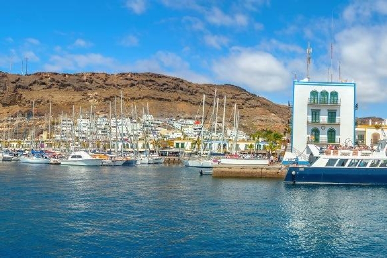 Puerto de Mogán y mercado con viaje opcional en barcoTour con viaje en barco opcional