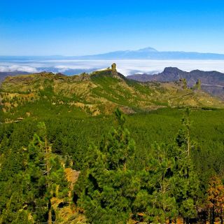 Gran Canaria Highlights Full-Day Tour by Bus