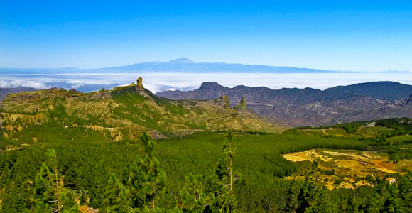 Gran Canaria Highlights Full-Day Tour by Bus