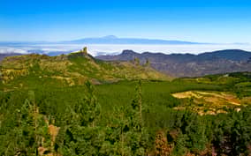  - Canarie.it
