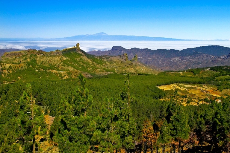 Gran Canaria Highlights Full-Day Tour by Bus Gran Canaria Full-Day Tour by Bus in Dutch