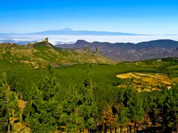 Lo mejor de Gran Canaria Tour de día completo en autobús