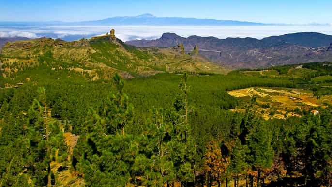 gran canaria highlights fullday tour by bus