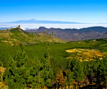 Gran Canaria Highlights Full-Day Tour by Bus