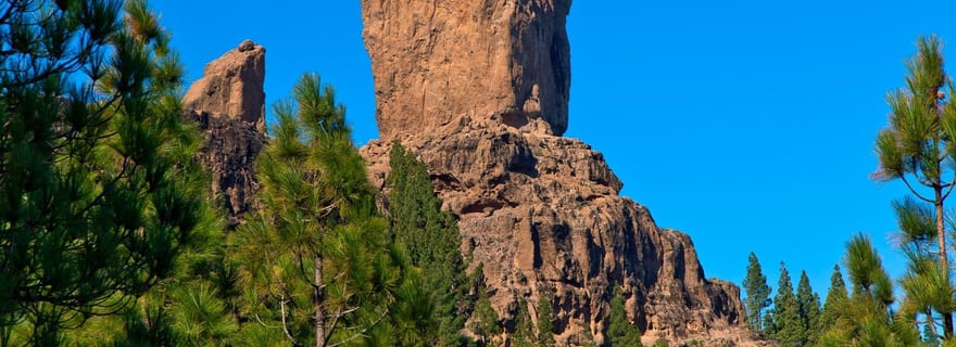 Grande Canarie : visite d'une jounée en bus VIP
