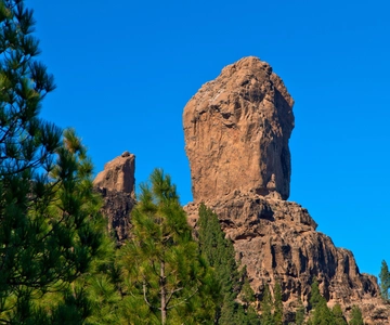 Gran Canaria: Full-Day VIP Tour by Bus