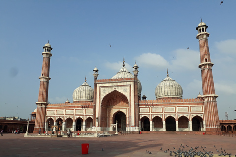 Delhi: Old and New Delhi Private Tour with Optional Lunch AC Transportation, Tour Guide without Lunch and Monument Fee