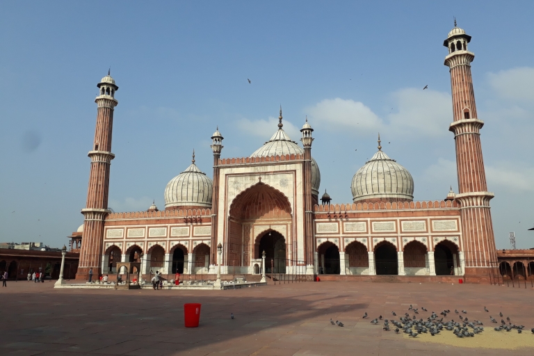 Delhi: Old and New Delhi Private Tour with Optional Lunch AC Transportation, Tour Guide without Lunch and Monument Fee