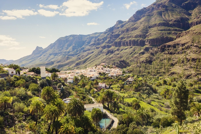 Gran Canaria: Full-Day VIP Tour by Bus