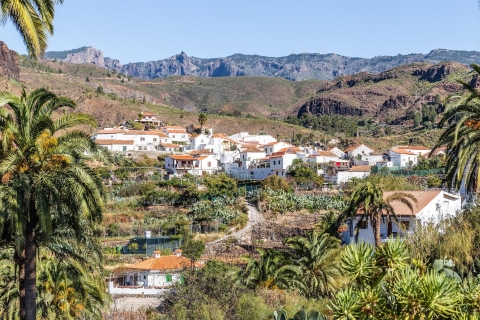 Gran Canaria: tour vip de un día completo en autobús