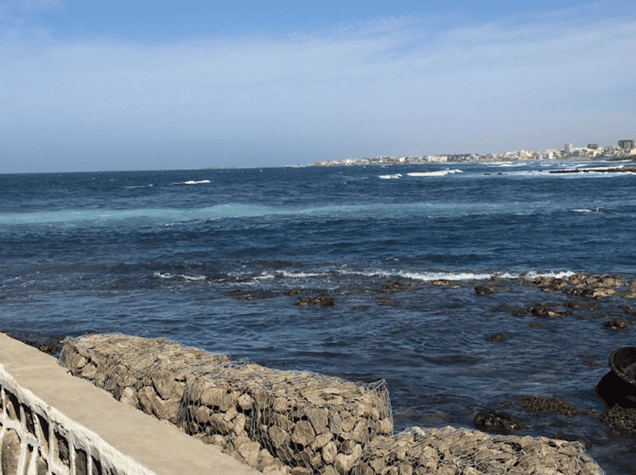 Van Dakar Of Saly Tour Van Een Halve Dag Naar Het Eiland Ngor