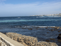 De Dakar ou Saly, Tour de meio dia até Ngor Island - Housity