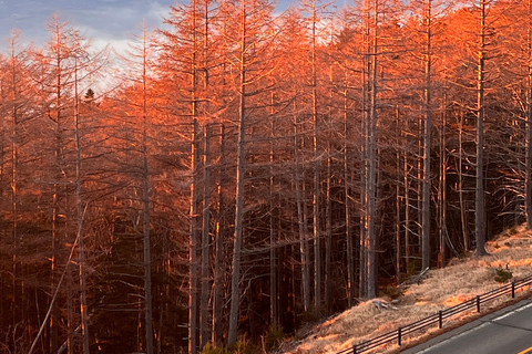 Da Tokyo/Yokohama: Escursione privata di un giorno al monte Fuji e ad Hakone