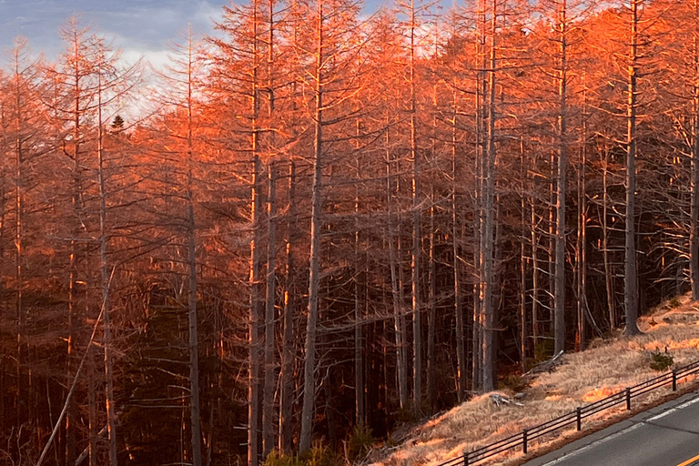 Da Tokyo/Yokohama: Escursione privata di un giorno al monte Fuji e ad Hakone