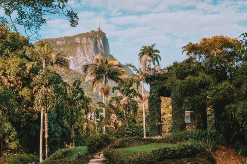 Rio de Janeiro : jardins botaniques et forêt de la Tijuca
