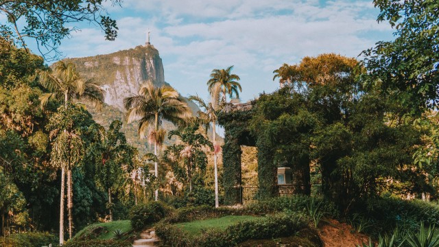 Visit Rio de Janeiro 4-Hour Botanical Garden & Tijuca Forest Tour in Rio de Janeiro