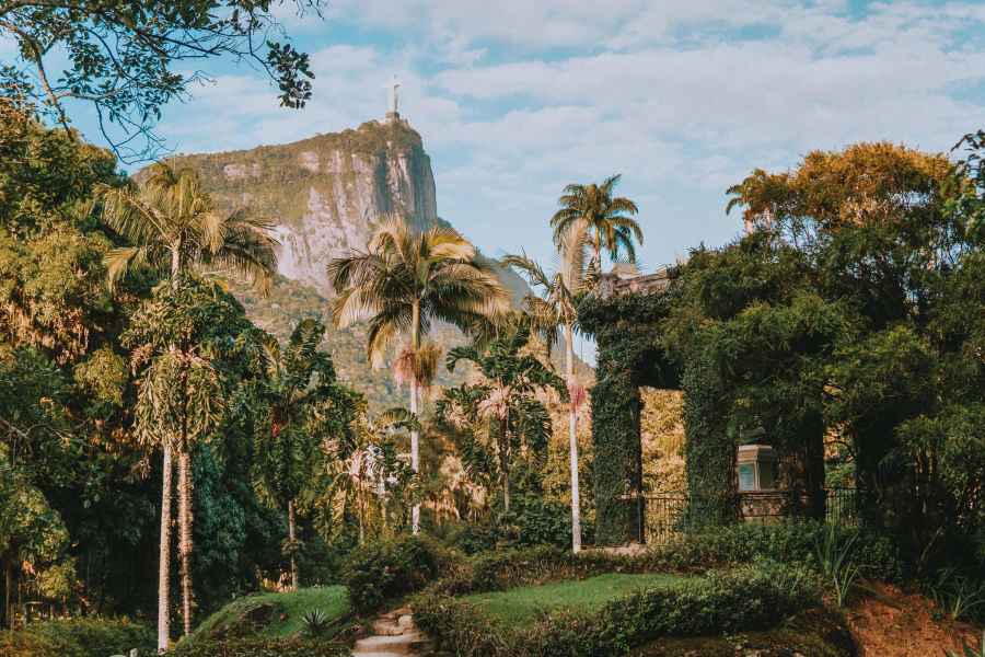 Rio de Janeiro: 4-stündige Tour durch den Botanischen Garten und den Tijuca-Wald. Foto: GetYourGuide