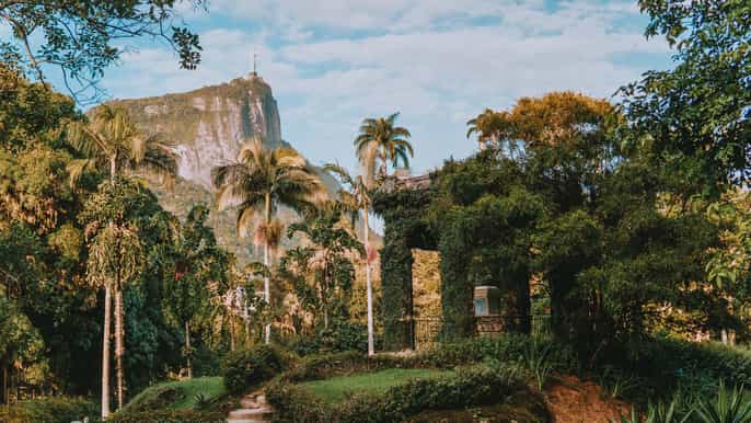 rio de janeiro besøk i botanisk hage og tijuca nasjonalpark
