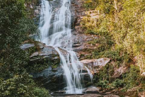 Rio de Janeiro: 4-Hour Botanical Garden & Tijuca Forest Tour