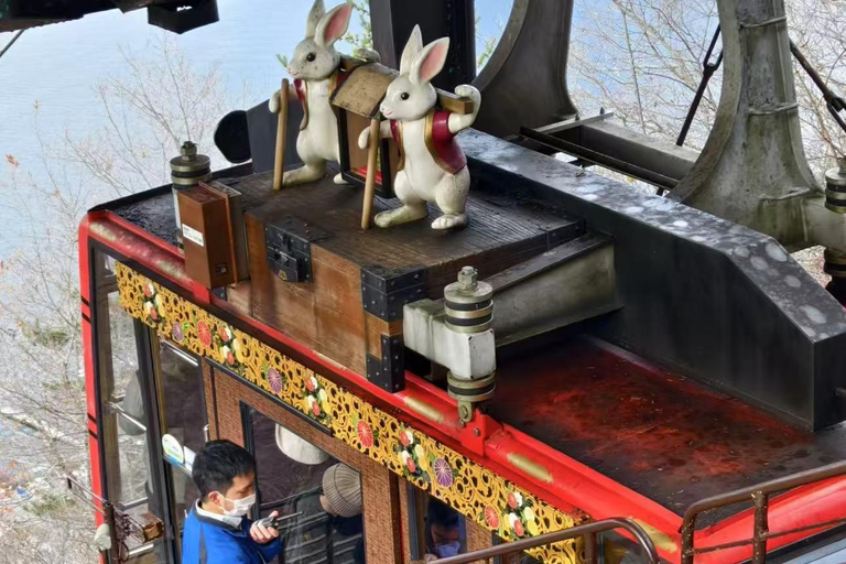 جبل فوجي وبحيرة كاواجوتشيكو روبواي وجولة أوشينو هاكاي ليوم واحدجولة جبل فوجي من محطة JR طوكيو المغا