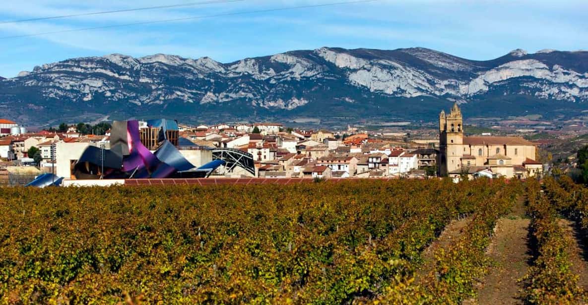 From Bilbao: Vitoria and Rioja Day Tour
