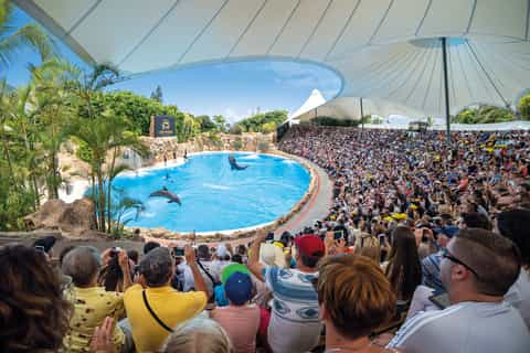 Tickets ohne Anstehen: Loro Parque