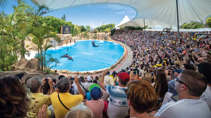 Puerto de la Cruz: entrada a Loro Parque