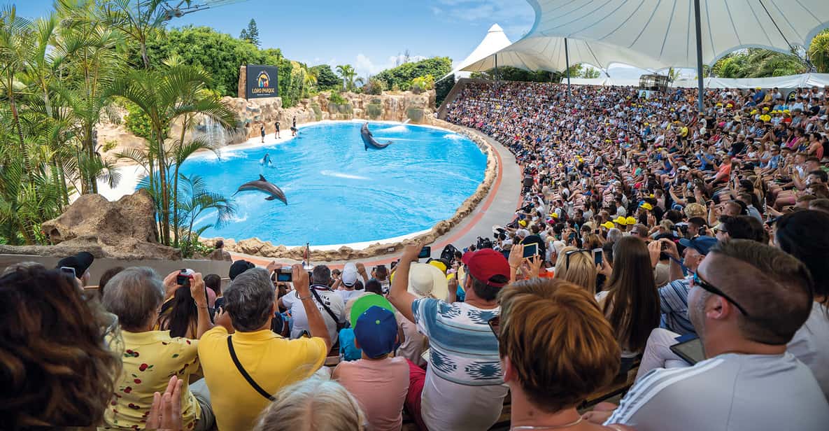 Puerto de la Cruz: entrada a Loro Parque y espectáculos