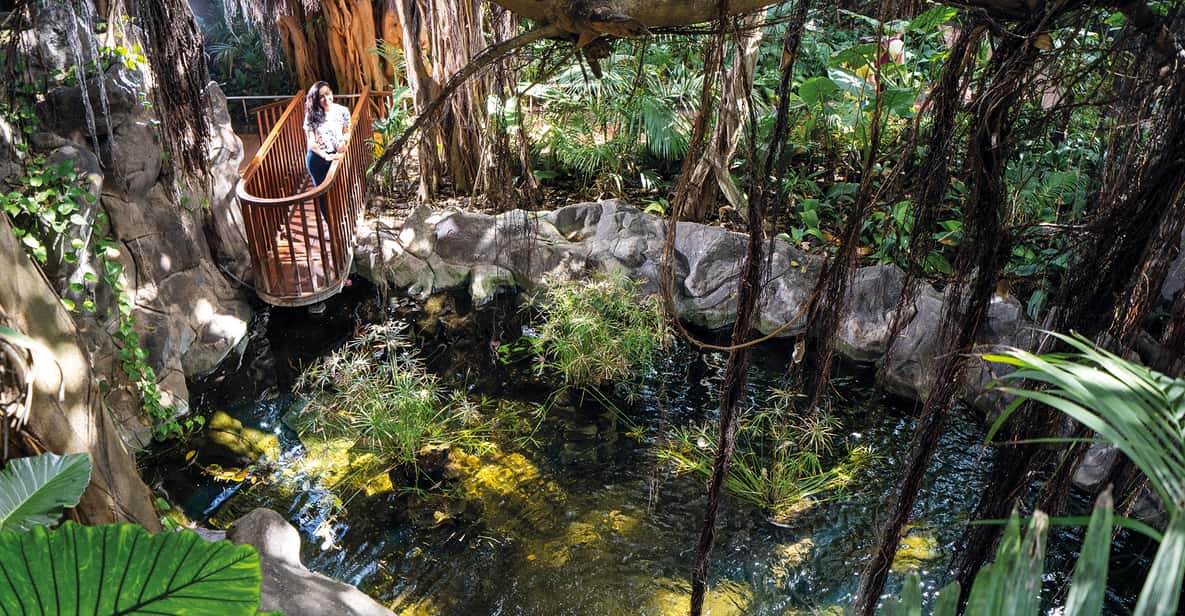 Puerto de la Cruz: Loro Parque Entry Ticket and Shows