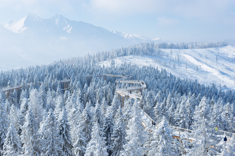 Von Krakau aus: Slovakia Treetop Walk & 4-Stunden-SkipassSlowakei Baumkronenwanderung & Skipass mit Ausrüstung & Instruktor