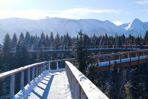 Von Krakau aus: Slovakia Treetop Walk & 4-Stunden-SkipassSlowakei Baumkronenwanderung & Skipass mit Ausrüstung & Instruktor