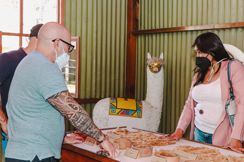 Arequipa: Walking City Tour and Juanita Mummy Arequipa: Walking City Tour and Juanita Mummy (PM)