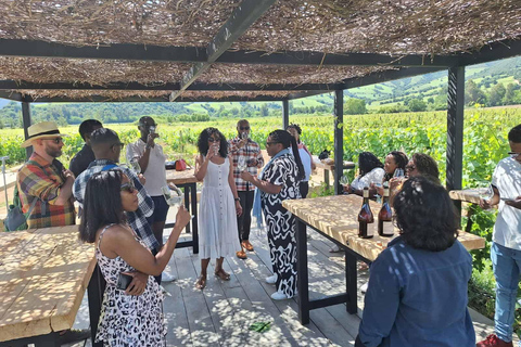 Colchagua : expérience de luxe aux caves VIK et MontesColchagua : expérience de luxe avec VIK et la cave Montes