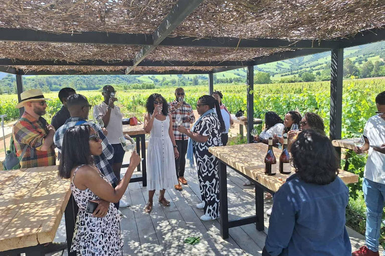 Colchagua : expérience de luxe aux caves VIK et MontesColchagua : expérience de luxe avec VIK et la cave Montes