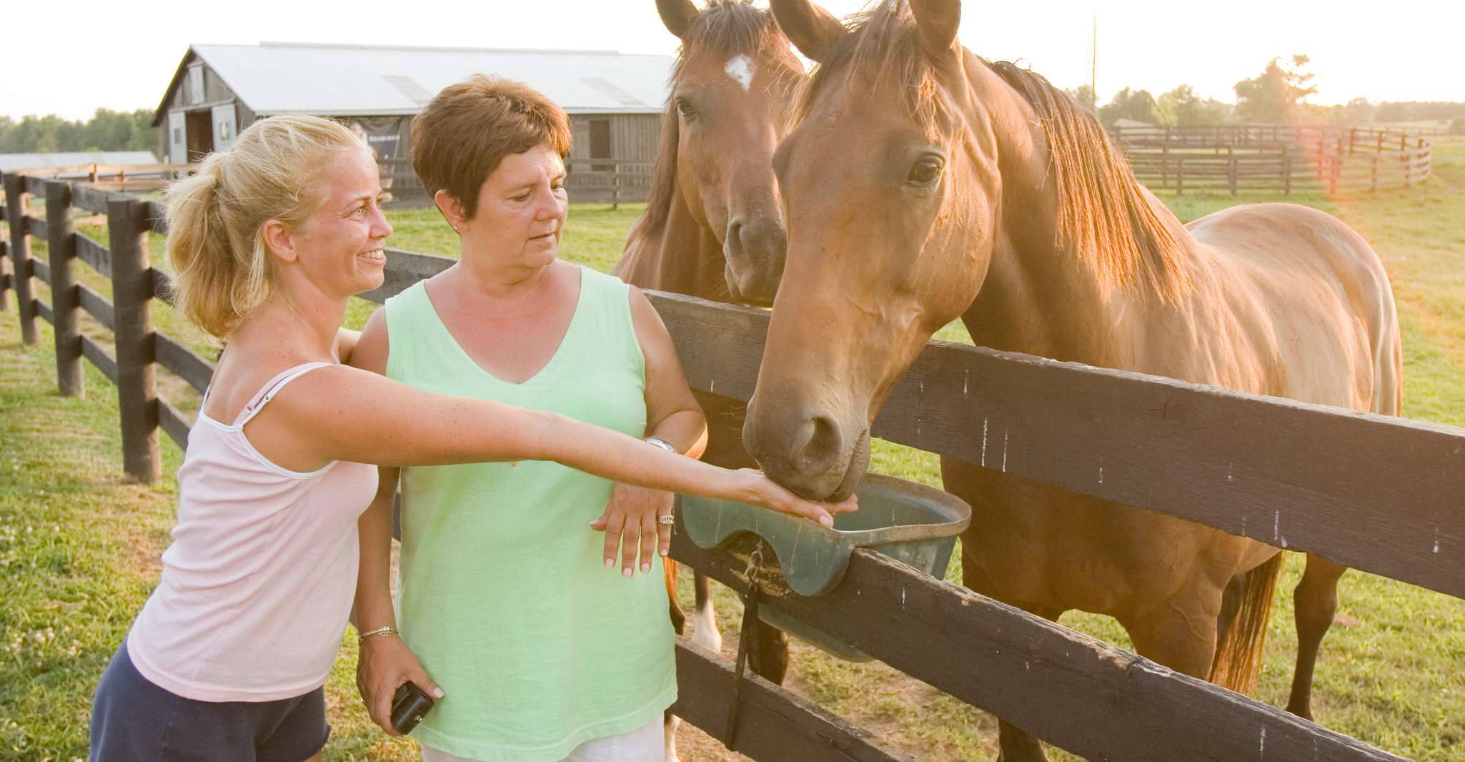 Lexington, Horse Farm Tour and Keeneland Race Track Visit - Housity