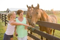 Lexington, visite de la ferme équestre et visite de la piste de course Keeneland - Housity