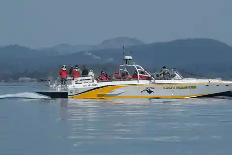 Victoria: Sunset Whale Watching Tour on an Open Scarab Boat