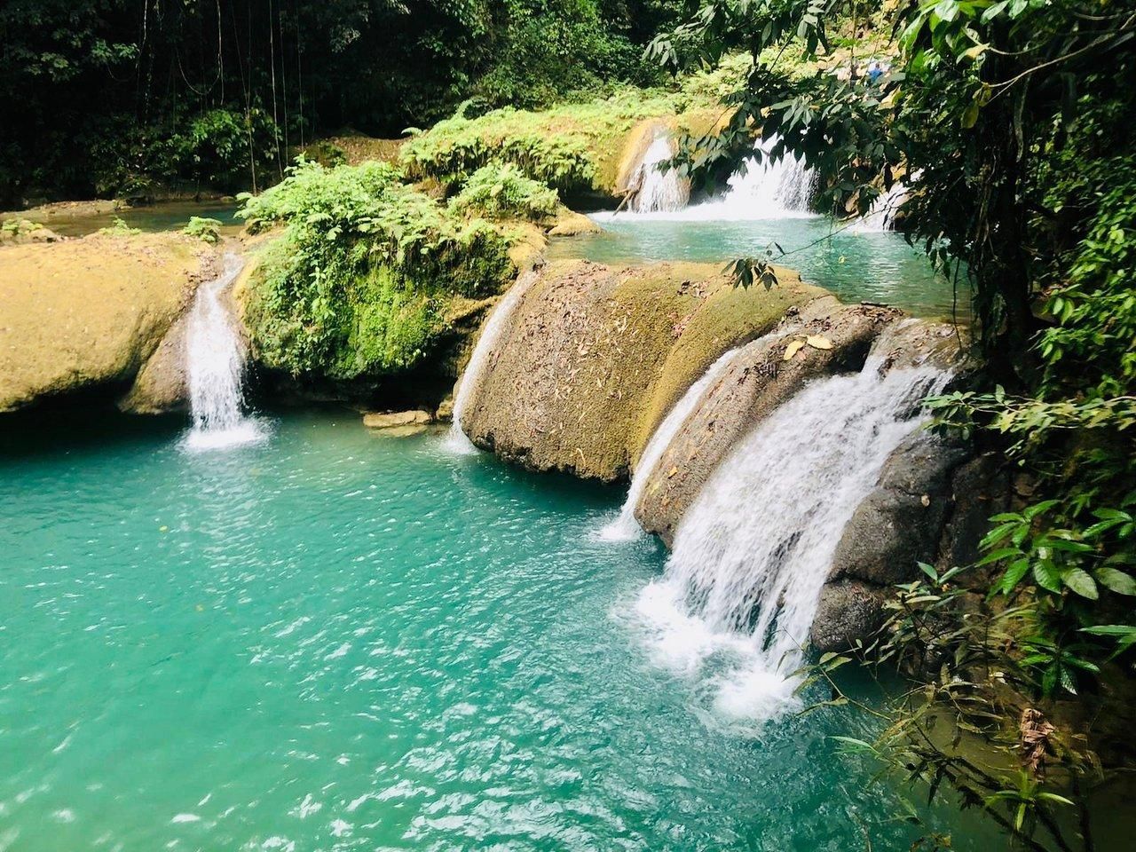 Black River Safari und Ys Falls Tour und Transport