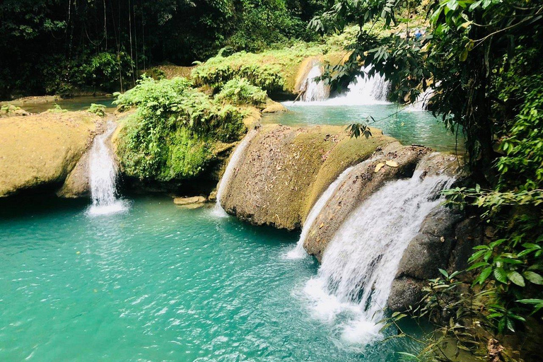 Black River Safari och Ys Falls rundtur och transportFrån Falmouth/ Trelawny