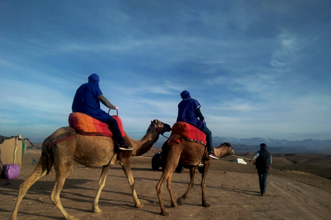 Passeio de quadriciclo e camelo em Agafay com jantar no Chouf L&#039;orMarrakech: Agafay Desert Quad Bike, passeio de camelo e jantar