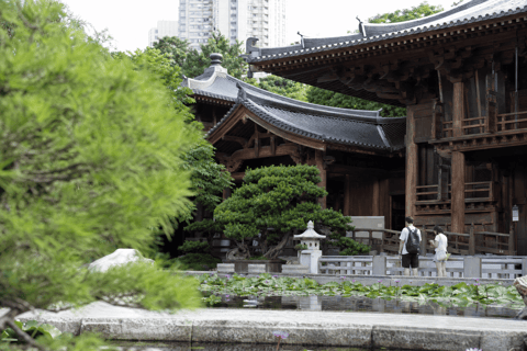 Hong Kong: Nan Lian Garden, Chi Lin Nunnery & Temple Tour Private Tour