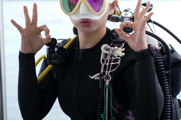 Turtle Island Double Dive with Lunch: Alanya & Side Pickup